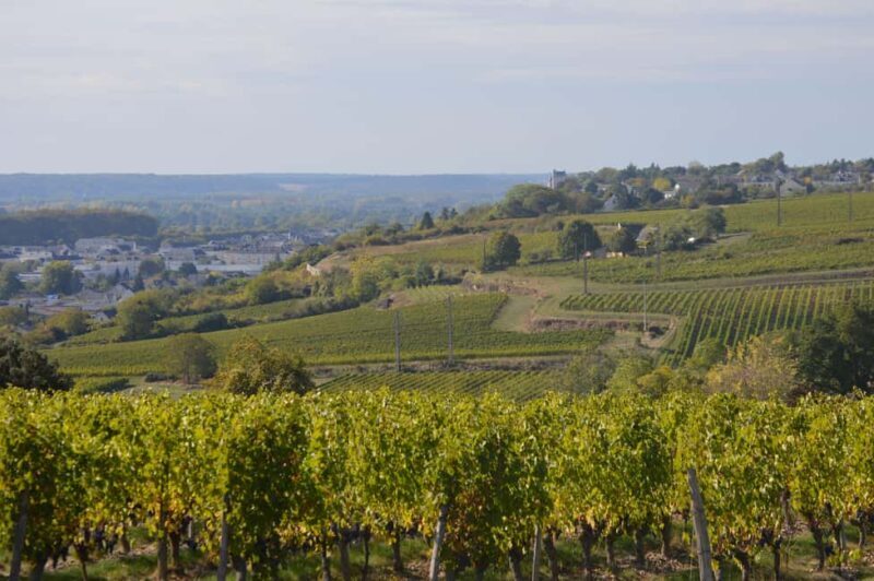 Chinon : Discovery Tours and Wine Tasting - A Few Considerations