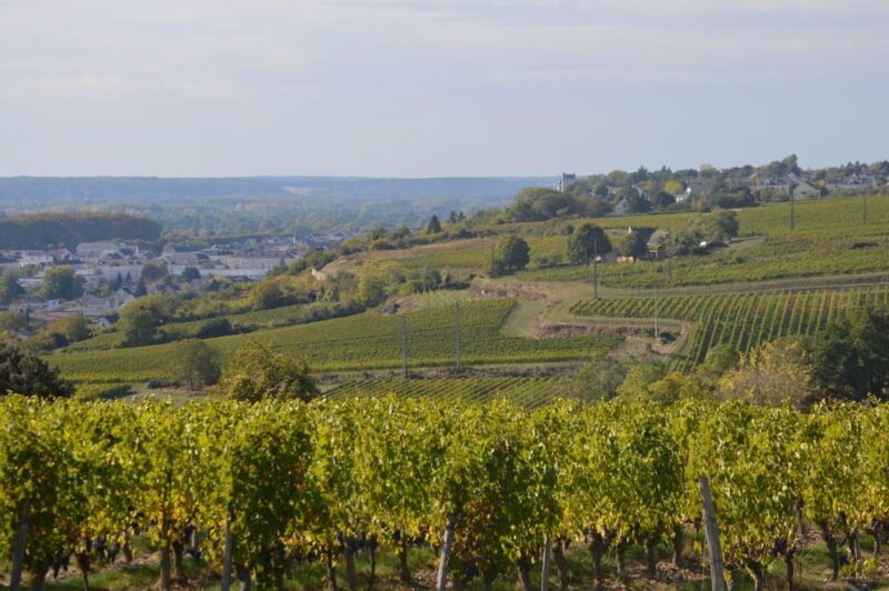 Chinon : Discovery Tours and Wine Tasting - Final Thoughts