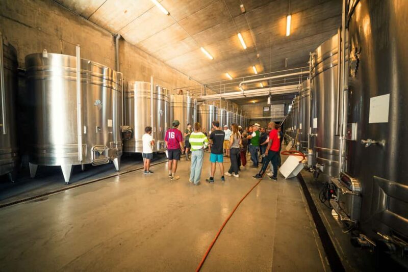 Chinon : Prestige Tours and Wine Tasting - Key Points