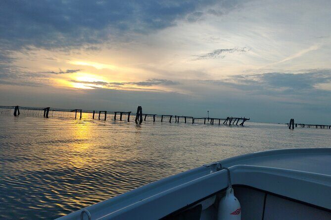 Chioggia : Aquaculture Secrets Tours of the Lagoon - Who Is This Tour Best Suited For?