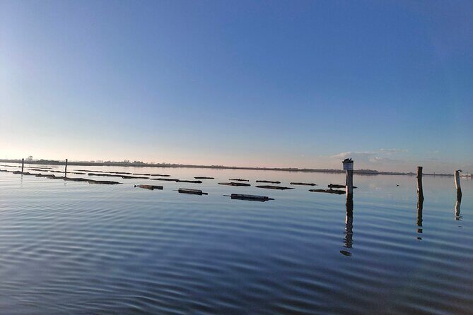Chioggia : Aquaculture Secrets Tours of the Lagoon - Final Thoughts