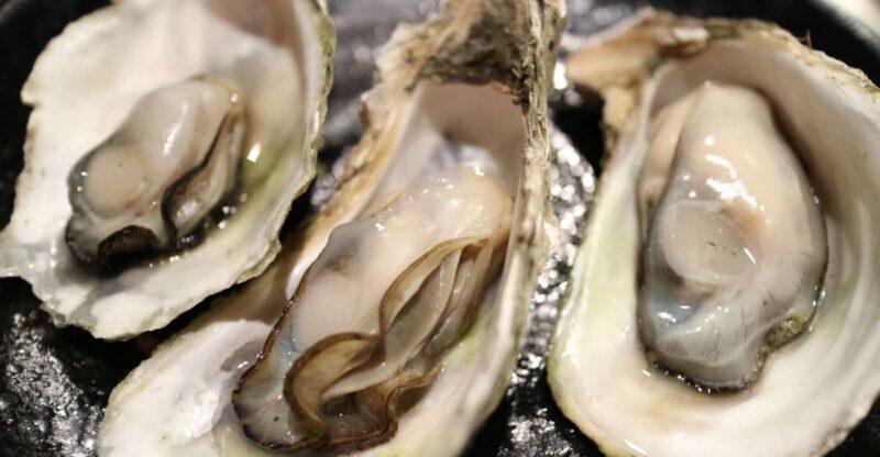 Chioggia: discover aquaculture techniques in a typical boat - Key Points