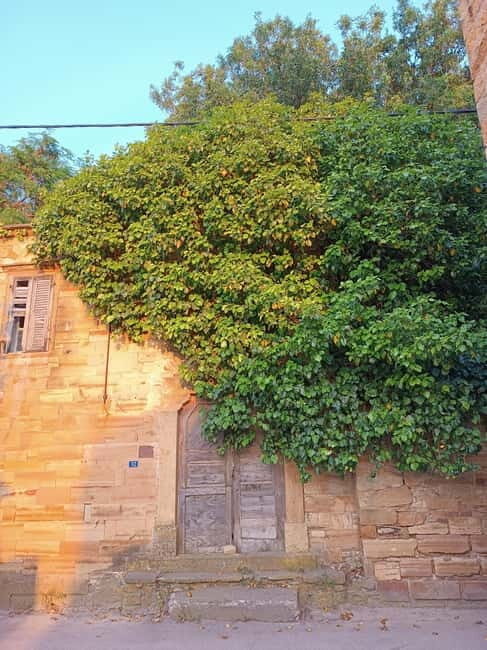 Chios: Kampos Private Walking Tour - FAQ