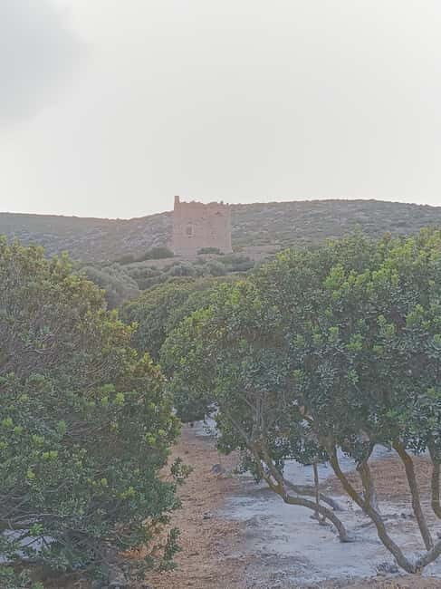 Chios : Welcome Concierge coffee break with a local - Who Should Consider This Tour?