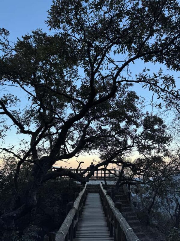 Chipinque Natural Park - Morning / Afternoon Hike - An Introduction to the Hike Experience