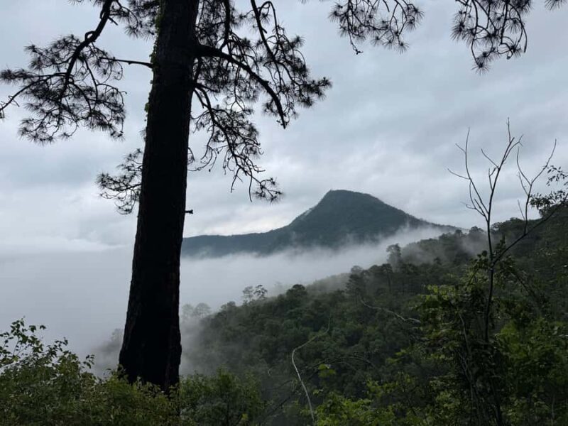 Chipinque Natural Park - Morning / Afternoon Hike - The Sum Up