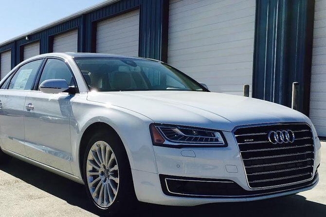 Chisinau Airport Transfer (one way) - Who Is This Transfer Best For?