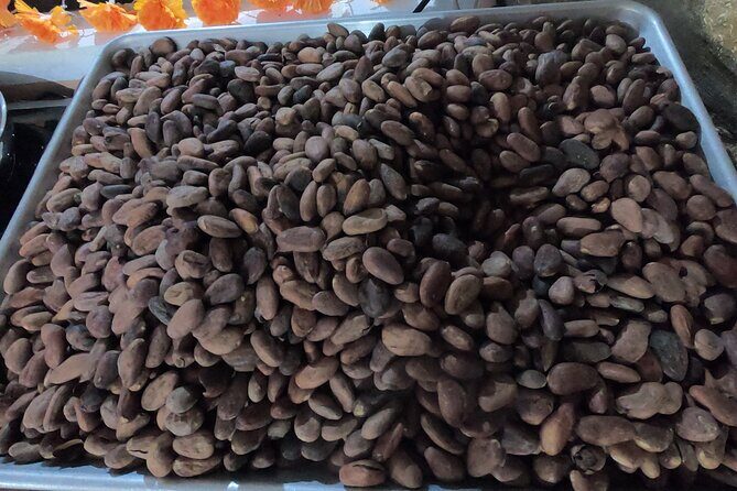 Chocolate Tasting & mayan show - Final Thoughts: Is It Worth It?