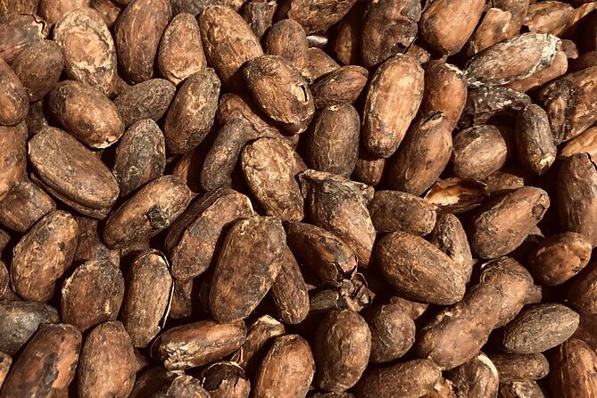 Chocolate Tour Including Hot Chocolate and Samples - Practical Details and Tips for Your Visit