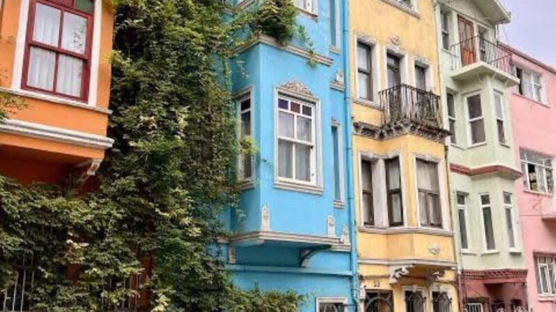 Chora Mosque & Balat Walking Tour w Bosphorus Sunset Cruise - Practical Considerations and Value