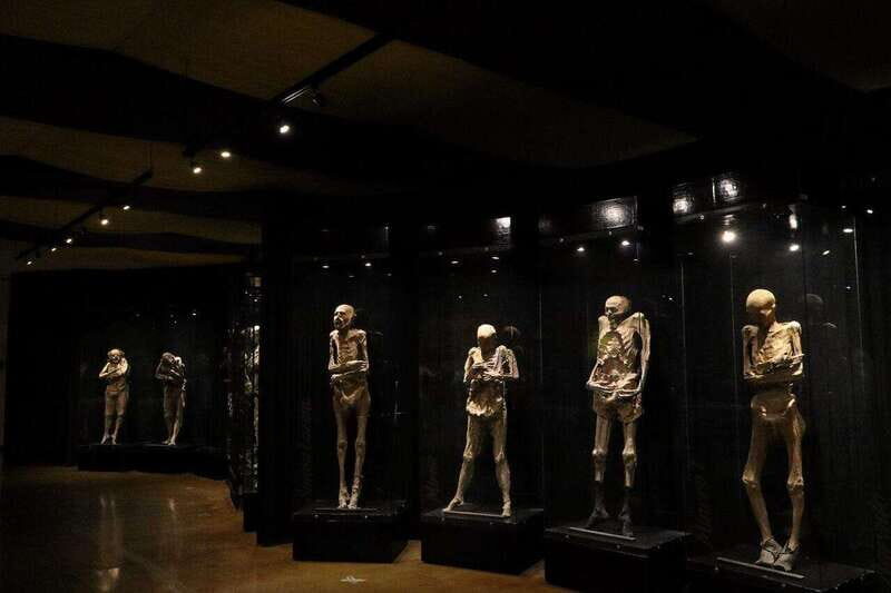 Christ the King Traveling Mummies VS El Santo and Catrinas - The Fascinating World of Guanajuatos Mummies