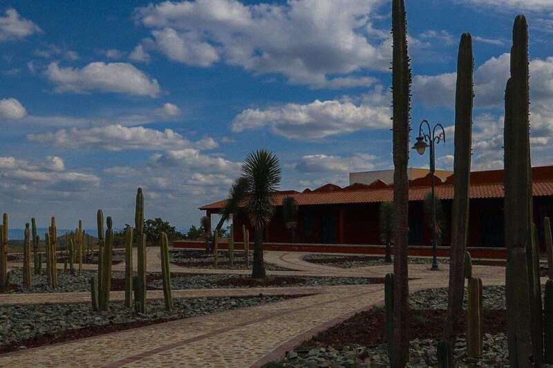 Christ the King Traveling Mummies VS El Santo and Catrinas - Final Thoughts: Is This Tour Right for You?