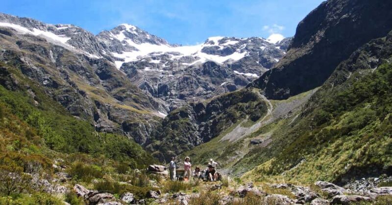 Christchurch: Arthurs Pass & Castle Hill Private Tour - Exploring New Zealand’s Southern Alps: What to Expect