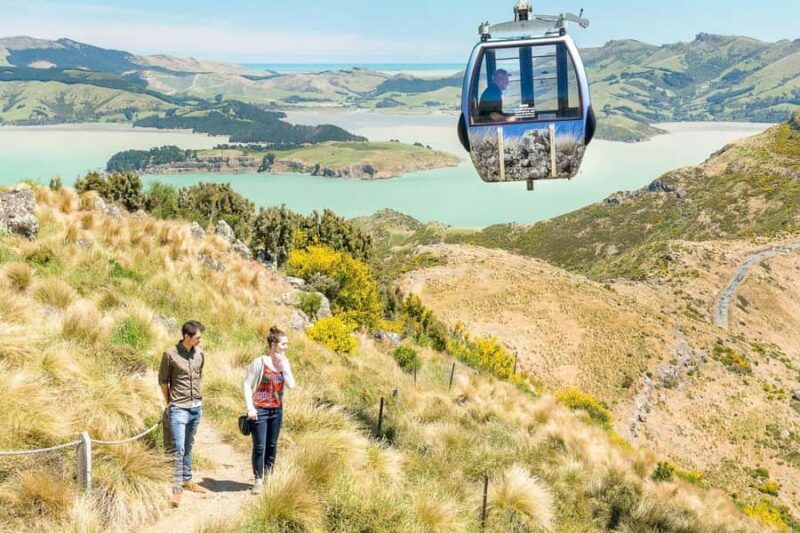 Christchurch Gondola and Tram City Tour Combo - Key Points