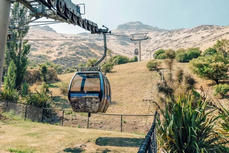 Christchurch: Gondola Ticket and Punt Ride on the Avon River - What the Reviews Say