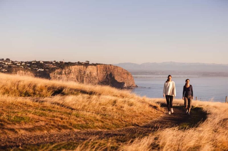 Christchurch: Guided Crater Rim Walk with Coastal Scenery - Key Points