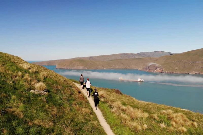 Christchurch: Guided Crater Rim Walk with Coastal Scenery - The Value of the Tour