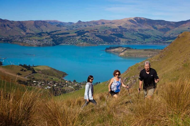 Christchurch: Guided Crater Rim Walk with Coastal Scenery - The Sum Up