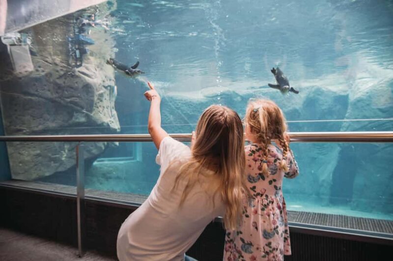 Christchurch International Antarctic Centre Entry Tickets - Key Points