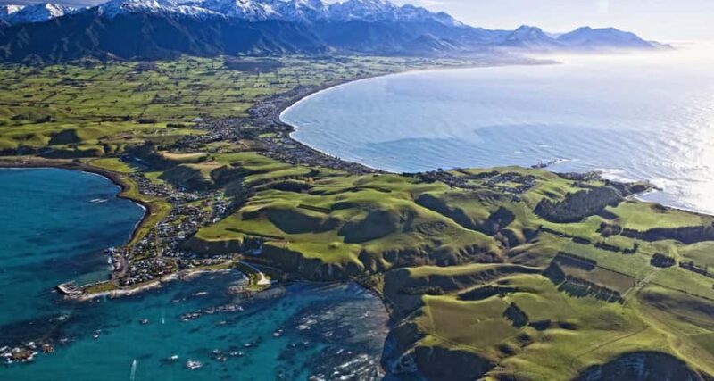 Christchurch: Kaikoura Whale Watching Day Tour - The Heart of the Tour: Whale Watching Options