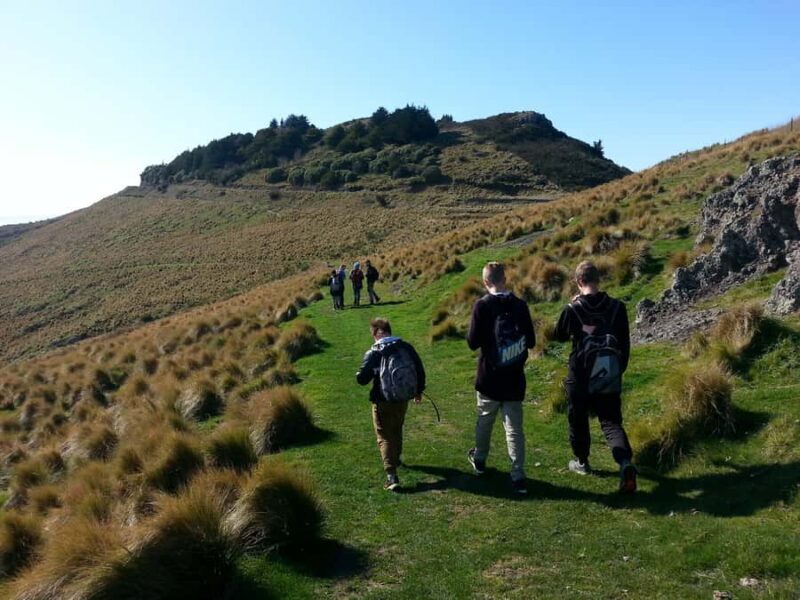 Christchurch: Packhorse Hut Guided Walk and Scenic Drive - The Value of a Guided Scenic Hike