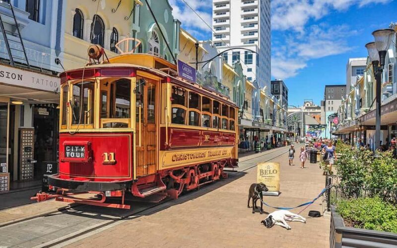 Christchurch: Private City Day Tour - Key Points