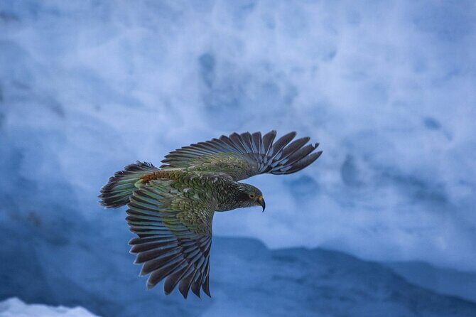 Christchurch to Franz Josef One Way Day Tour with TranzAlpine - FAQ