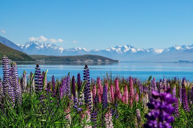 Christchurch to Queenstown One-Way Tour via Mt Cook & Lake Tekapo - Exploring the Christchurch to Queenstown One-Way Tour via Mt Cook & Lake Tekapo