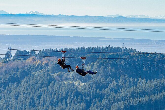 Christchurch Zipline Tour - Who Should Consider This Tour?