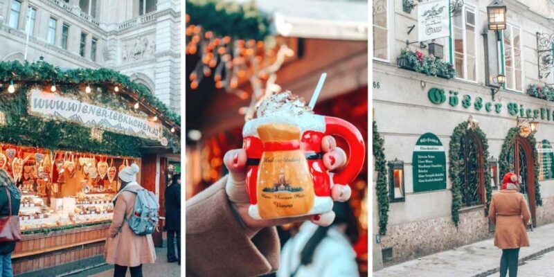 Christmas in 3 countries: Vienna, Salzburg, Brno, Bratislava - Key Points