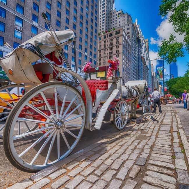 Christmas in Central Park: Horse Carriage Holiday Tour - Key Points