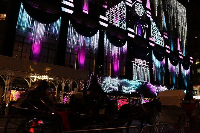 Christmas Light Private Carriage Ride New York City - Who Should Consider This Experience?