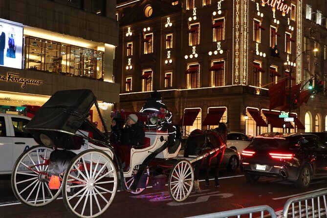 Christmas Light Private Carriage Ride New York City - Final Thoughts