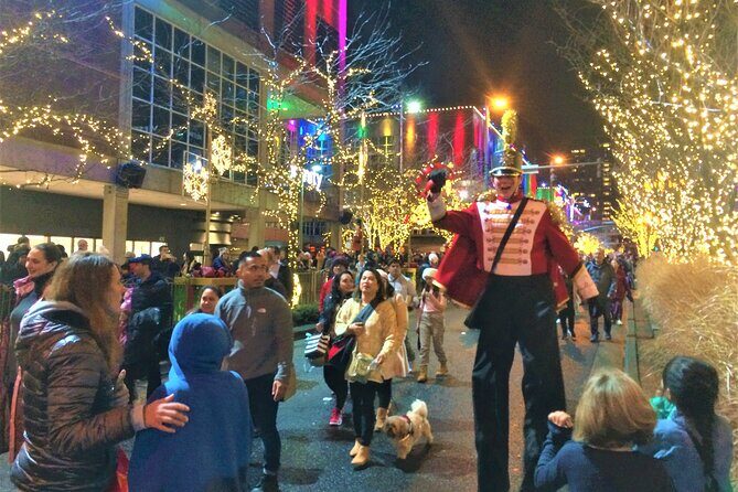 Christmas Lights and Snowflake Lane photo tour - Key Points