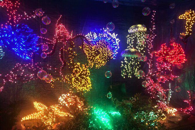 Christmas Lights and Snowflake Lane photo tour - Frequently Asked Questions