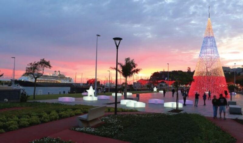 Christmas Lights in Funchal Tuk Tuk Tour - Who Should Consider This Tour?