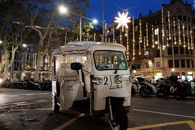 Christmas Lights Tour of Barcelona in Private Eco Tuk Tuk - Authentic Feedback From Past Travelers