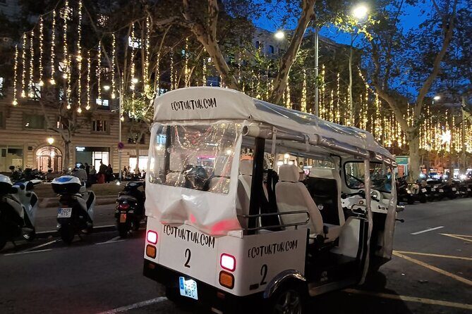 Christmas Lights Tour of Barcelona in Private Eco Tuk Tuk - Who Would Love This Tour?