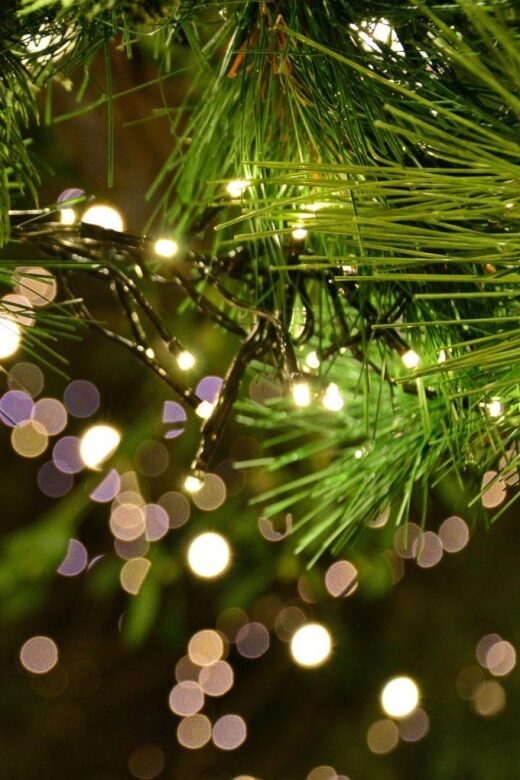 Christmas Tales in Canterbury  Private Walking Tour - Key Points