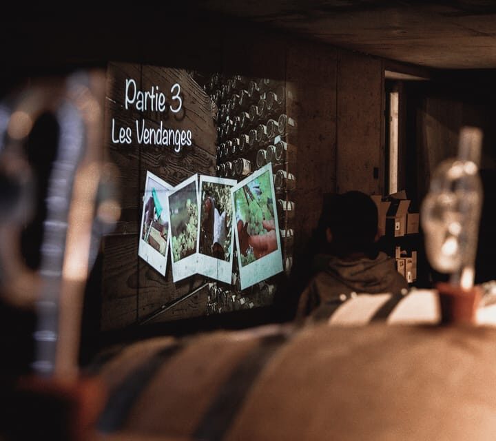 Christmas Wine Tour with Wine Tasting - Final Thoughts