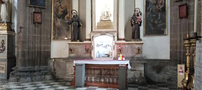 Chronicles of the Center: Living Stories of Mexico City - Who Will Love It?