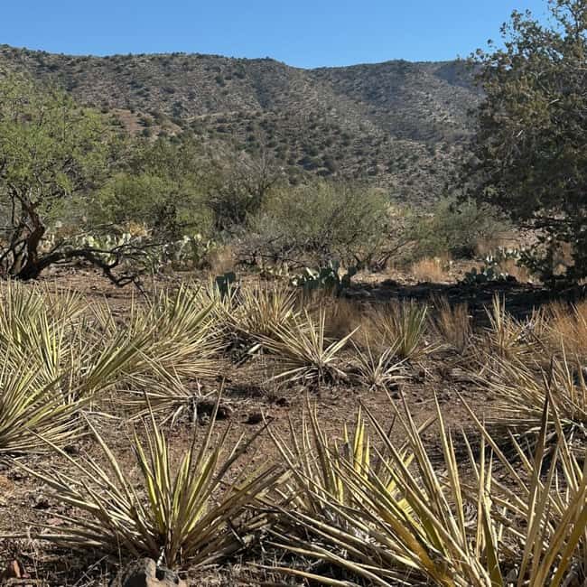 Chrysotile, AZ: Off-Road Adventure Gleason Flat - Salt River - Key Points