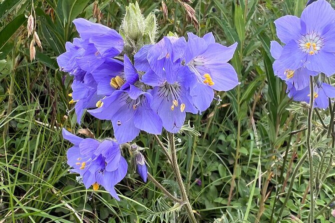 Chugach State Park Nature Walk - FAQ