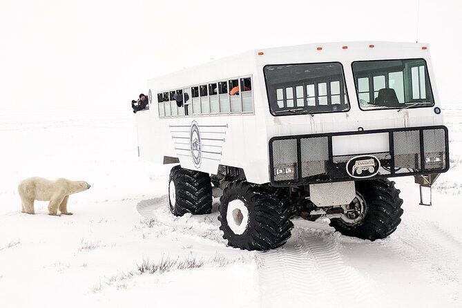 Churchill Polar Bear Experience  5-Night Classic Tour - Who Would Benefit Most from This Tour?