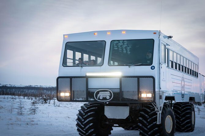 Churchill Polar Bear Experience  5-Night Classic Tour - Final Thoughts