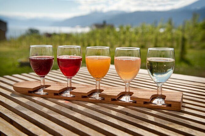 Cidery Day Tour with a Fjord Cruise from Bergen - Who Is This Tour Best For?
