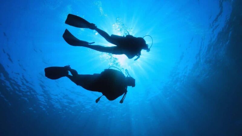 Cilento: 12-meter dive for experts in Sauco Bay - Key Points