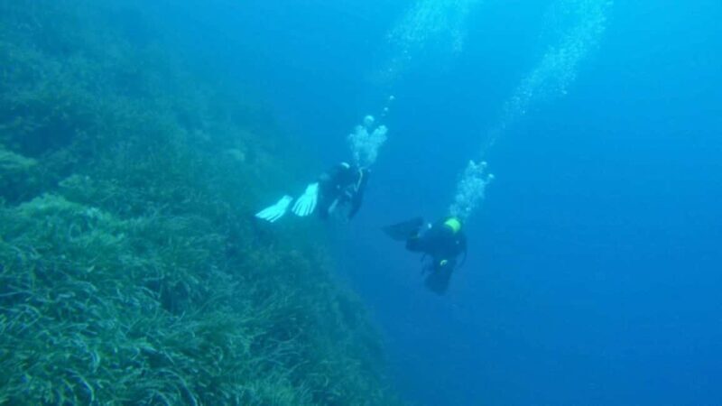Cilento: 12-meter dive for experts in Sauco Bay - Practical details