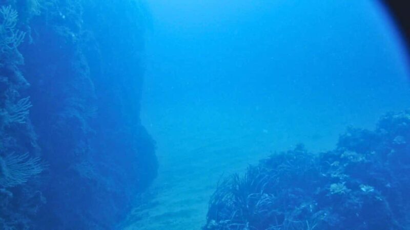 Cilento: 12-meter dive for experts in Sauco Bay - Who should consider this dive?