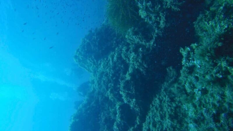Cilento: 12-meter dive for experts in Sauco Bay - Final thoughts